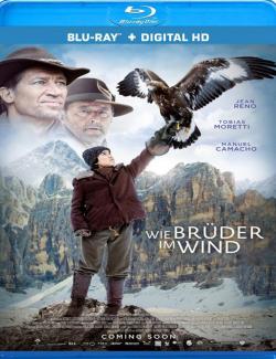   / Brothers of the Wind (2015) HD 720 (RU, ENG)