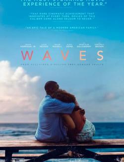  / Waves (2019) HD 720 (RU, ENG)