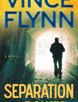   / Separation of Power (Flynn, 2001)    