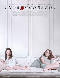  / Thoroughbreds (2017) HD 720 (RU, ENG)