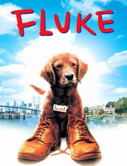  / Fluke (1995) HD 720 (RU, ENG)