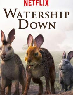   ( 1) / Watership Down (season 1) (2018) HD 720 (RU, ENG)