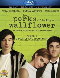    / The Perks of Being a Wallflower (2012) HD 720 (ru, eng)