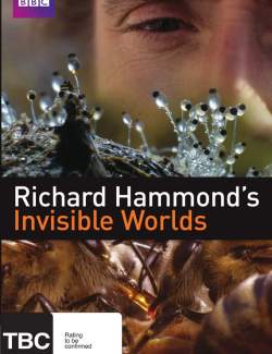 BBC:   ( 1) / Richard Hammond's Invisible Worlds (season 1) (2010) HD 720 (RU, ENG)