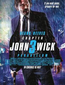   3 / John Wick: Chapter 3 - Parabellum (2019) HD 720 (RU, ENG)