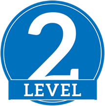 level 2