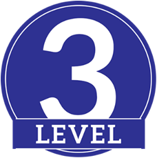 level 3