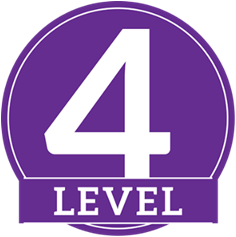 level 4